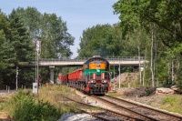 Tamara z rudą miedzi do ZWR P ...