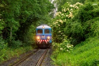 Tunel drzewny i rumun