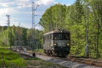 Rumun pod Śląskiem