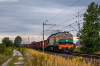 Świeży Gagar na E30