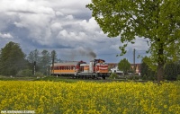 SU42-513