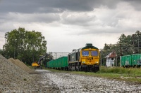 Deszczowy szerszeń na wyładu ...