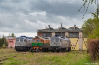 ECCO Rail