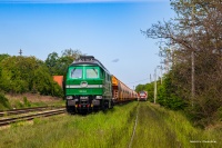 Olavion w Rogoźnicy