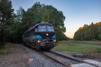 Ludmiła na Quercusie