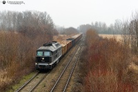 Dolata na podsudeckiej