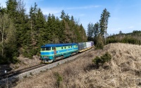 Bardotka Cityrail