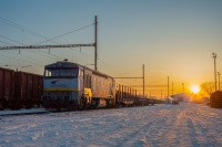 Zachód Słońca z Bardotką.