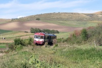 Karawela na morzu zieleni