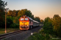 628 310