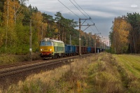 Byk w ostatnich promieniach s ...