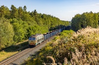 Bydgoska "Pisanka" w promienia ...