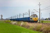 Na Wielkopolskim szlaku