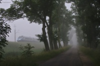 Majaczący we mgle