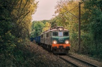 ET41-186 w jesiennym gąszczu