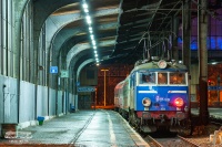 Anglik na Wrocławianinie