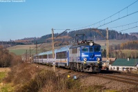 Orzeszkowa w Witkowie