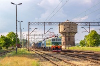 Świeża 303E-335
