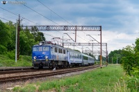 Kozica na 181