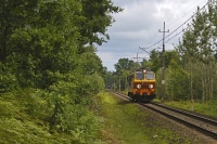 Luźny rodzyn