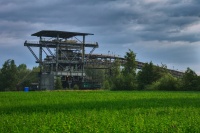 Krokodyl jeszcze uśpiony