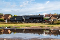 The Royal Norfolk Regiment