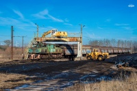 Krokodyl na czyszczeniu