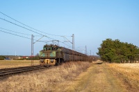 Popołudniowy krokodyl