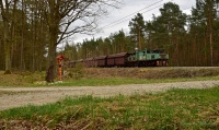 Krokodyle łzy
