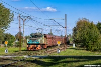 Moje pożegnanie z krokodylami