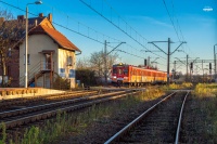 Święto lasu na wielkopolskic ...