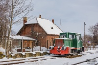 Kaczka w zimowej odsłonie