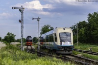 Rogoźnica z przed dwóch lat