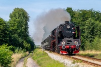 Przedostatnia prosta