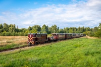 (Nie)wykorzystany potencjał?