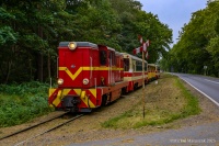 Rumunem przez Junoszyno